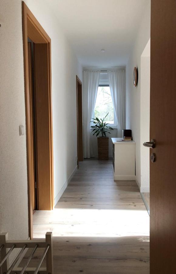 Schoene Ferienwohnung Am Rande Der Altstadt Wittenberg Экстерьер фото